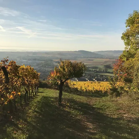 D'hotes Alsace Les 3 D * Marlenheim