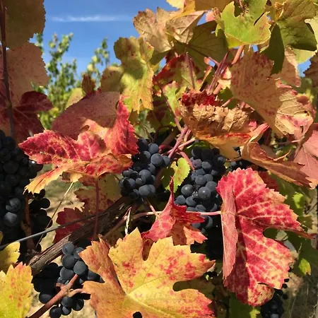D'hotes Alsace Les 3 D Marlenheim